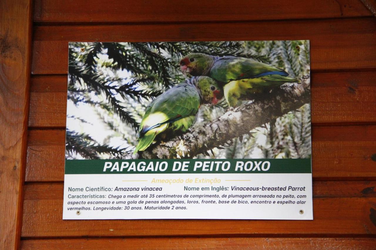 Recanto Da Mata Pousada São Francisco de Paula Exterior foto