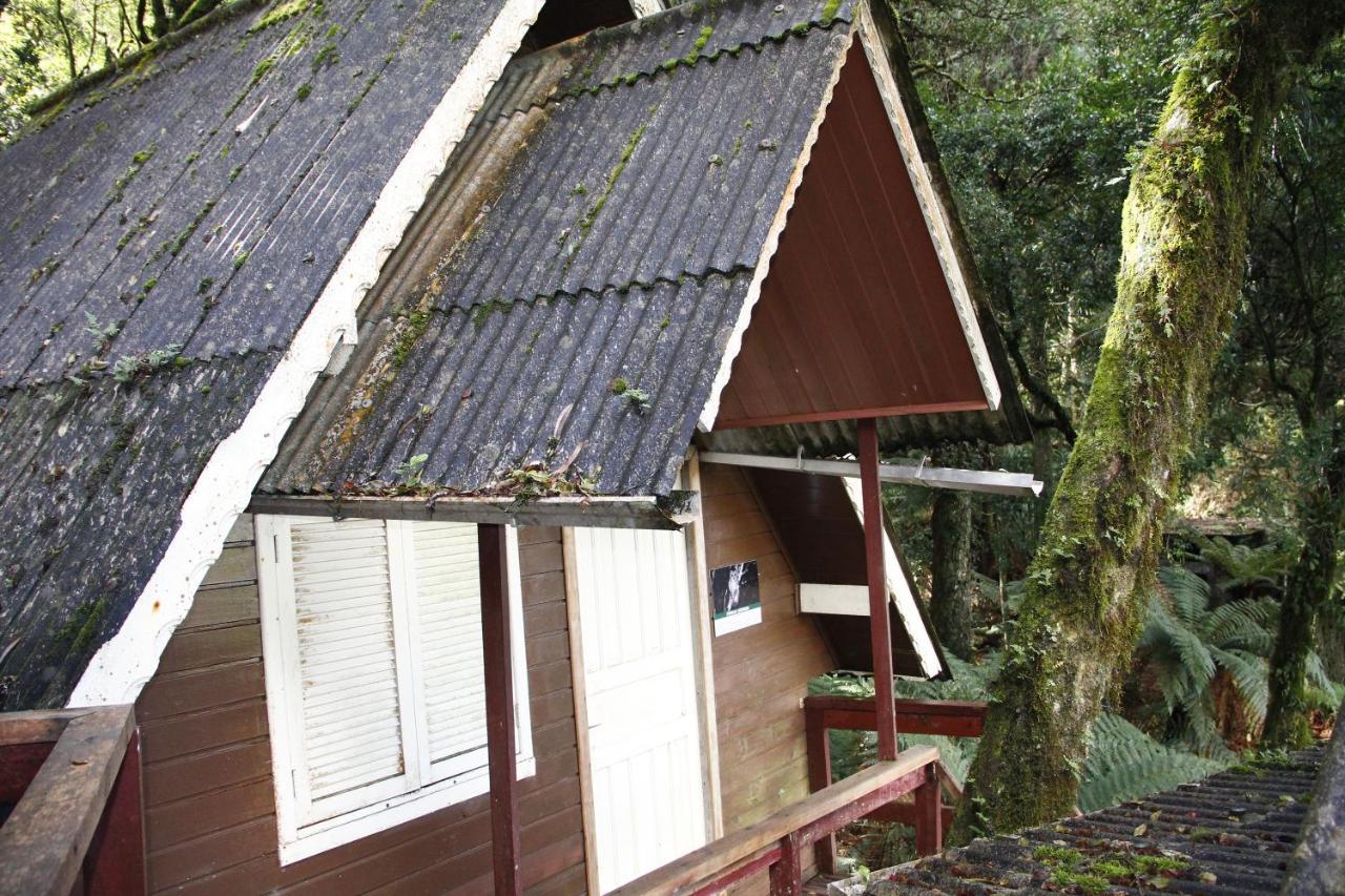 Recanto Da Mata Pousada Hotel São Francisco de Paula Exterior foto