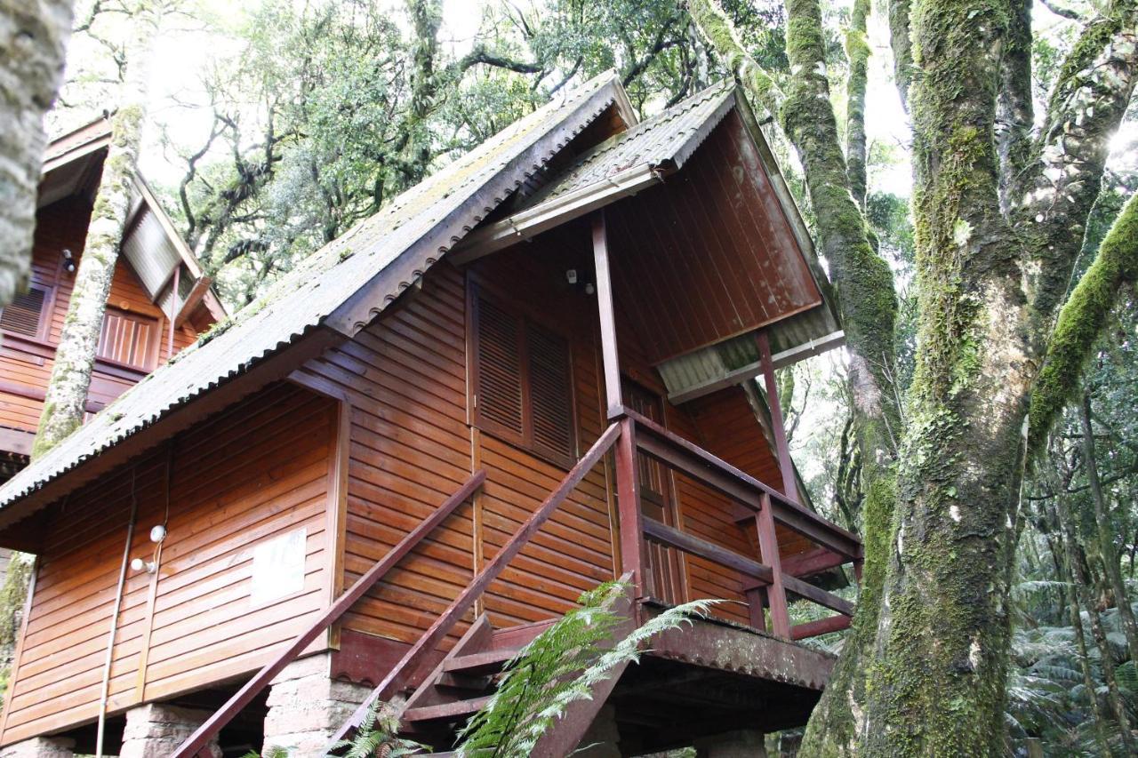 Recanto Da Mata Pousada São Francisco de Paula Exterior foto
