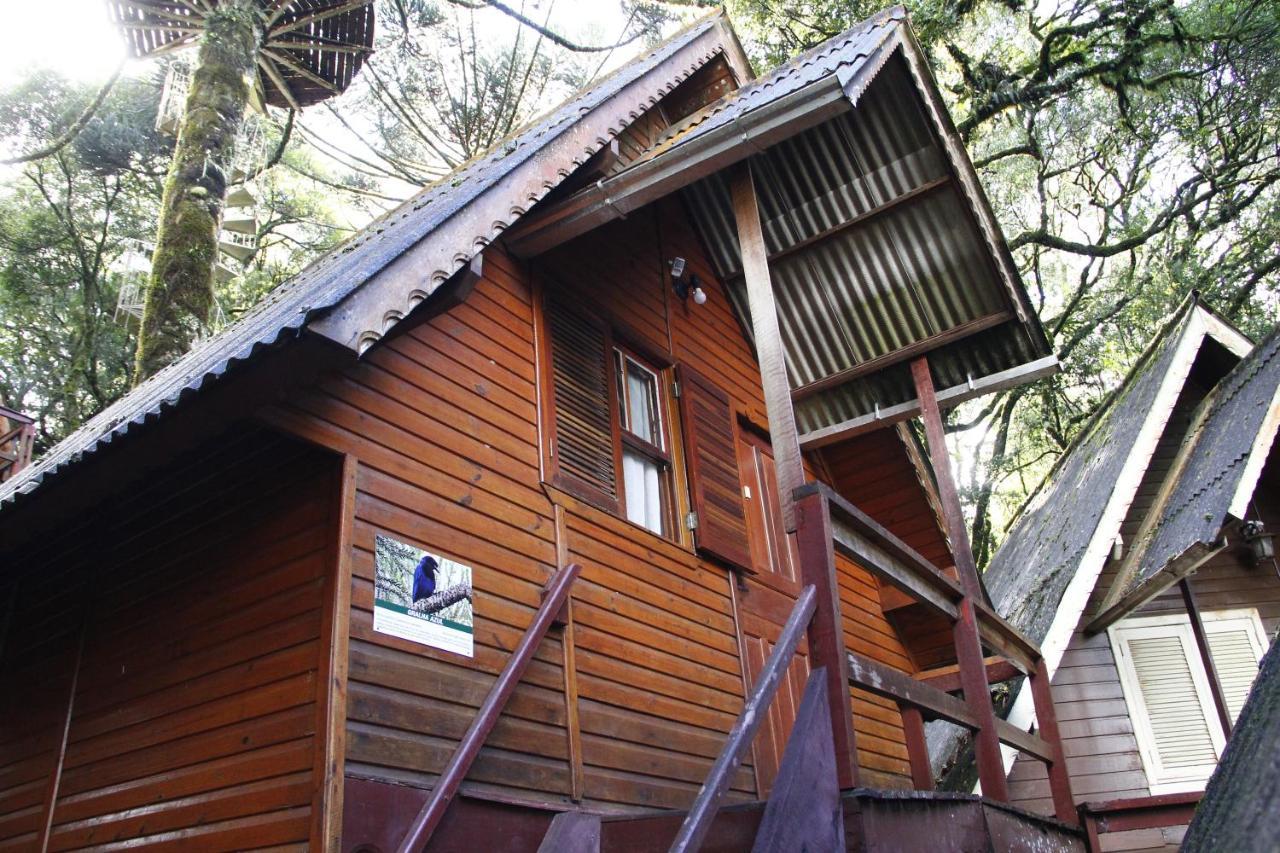 Recanto Da Mata Pousada Hotel São Francisco de Paula Exterior foto