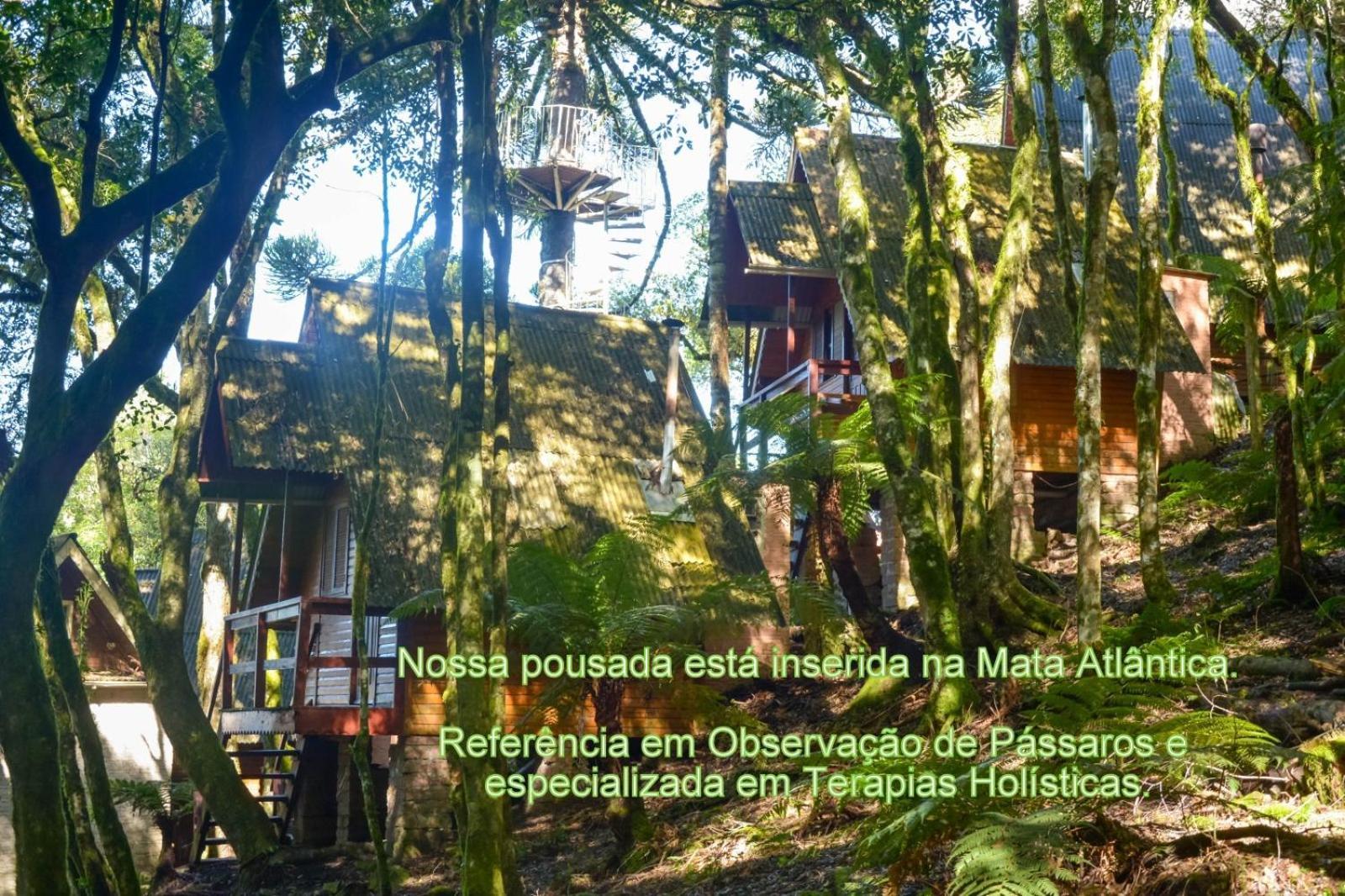 Recanto Da Mata Pousada São Francisco de Paula Exterior foto